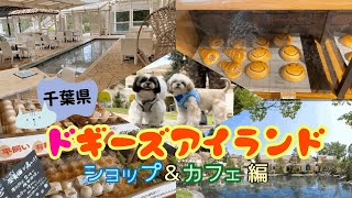 【千葉】小谷流の里　ドギーズアイランド　ショップ＆カフェ編。DOGGY'S ISLAND  CHIBA