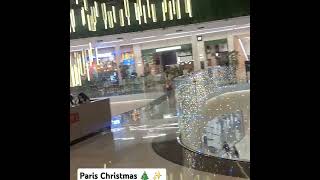 பாரீஸ் நகரில் களைகட்டிய கிறிஸ்துமஸ் திருவிழா #france #paris #Christmas 2024