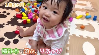 【1歳2ヶ月】積み木で遊ぶ、りあっぴ【りあっぴ 成長記録】