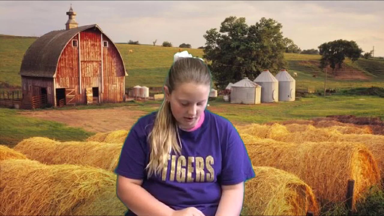 Charlotte S Web Chapter 2 Youtube