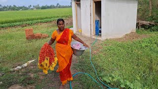 ரொம்ப நாளைக்கு பிறகு Routine Video 😅