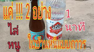 ใช้แค่ !! 2 อย่าง 1 นาที ไล่หนูในบ้าน หนีแบบถาวร เห็นผลชัดเจน/ พ่อเพลิน Channel