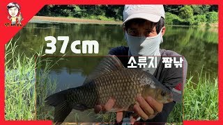 잔바리 조사 덕에 허리급 한수 했습니다 ㅋㅋ-4K