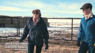 Winter Grazing Systems: Shelter \u0026 Bedding