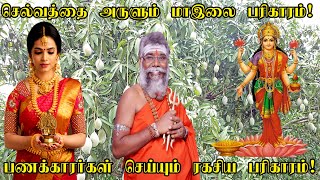 வீட்டில் பணம் செல்வம் சேர மா இலை பரிகாரம் | வற்றாத பணம் வரவுக்கு  தாந்திரீகம் | Selvam Sera tips