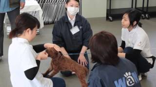 動物行動実習　動物・学校・新潟・長野