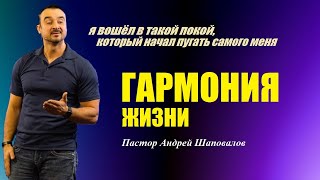 Я вошёл в такой покой, который начал пугать самого меня. Гармония жизни. Пастор Андрей Шаповалов.