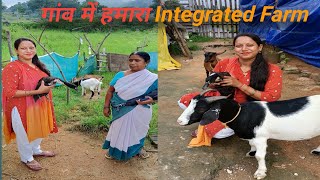 Gaon Mein Hamara Integrated Farm|| गांव में हमारा इंटीग्रेटेड फार्म 🌄✌️