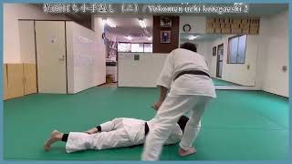 Yokomen uchi kotegaeshi 2 / 横面打ち小手返し（二）【aikido /合気道】