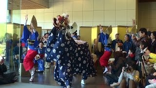 和太鼓グループ「藍吹雪」による獅子舞 in 徳島城博物館 2014