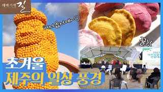 귤 향기 따라 떠나는 제주 감귤 여행🍊 | 테마기행 길 | 전주MBC | 제주 여행 | 맛집투어 | 전주MBC 211126 방송