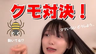 【鈴木瞳美】クモ対決！『ひたん vs クモ』～ママ不在 絶体絶命編～