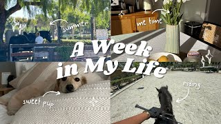 Week in my life! Botox, beach, and horses!