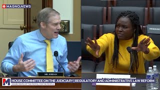 Jim Jordan slams Democrats for attacking Elon Musk's DOGE “instead of stopping the stupid spending\