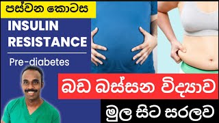 ඇයි මට මෙහෙම බඩක් ආවෙ ? කාලා අනිත් අතට බඩගිනි හැදෙන්නෙ ඇයි ? Insulin Resistance ගැන තේරෙන සිංහලෙන්