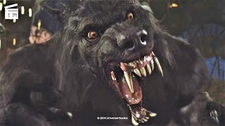 Van Helsing: Werewolf vs Dracula