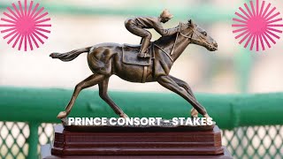 Trainers With Horses In The 2023 Thornbird, Prince Consort Stakes Share Their Views