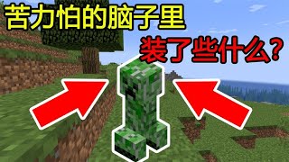 Minecraft：MC进入苦力怕的脑子里面，看看装了些什么？【煞神吖】