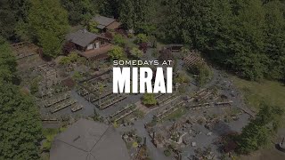 Somedays at Mirai: June