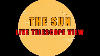 The Sun - LIVE View (August 13)