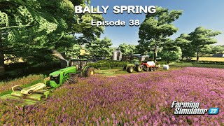 Mowing ALFALFA for Silage, Selling SLURRY, Harvesting MILLET | Bally Spring | FS22 | Episode #38