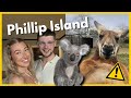 First Time Meeting Australian Wildlife at Phillip Island! 🦘