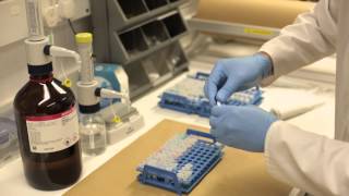 How to tell exactly what's in a pill - GCMS testing