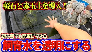 初心者でも簡単に出来る！赤玉土と軽石でメダカ飼育水の透明化！