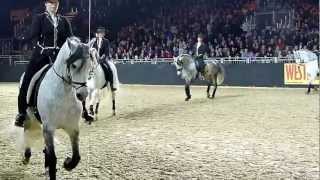 Equitana 2013 - Schimmel in Aktion