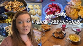 Large Family Meals of the Week