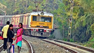 New Painted Honking Jessop EMU (BT Shed) | Gede-Sealdah Local