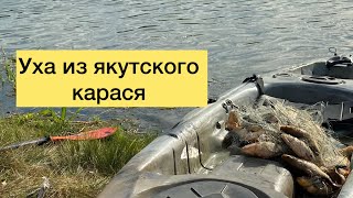 Уха из якутского карася .. в пакетиках– что получилось?