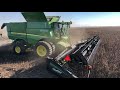 snowbrid faba bean harvest 2018