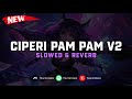 DJ Ciperi Pam Pam V2 ( Slowed & Reverb ) 🎧