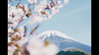 日本奥运会终于延期了！对日本来讲，是一个遗憾但也是一种解脱！ ｜照理说事