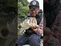 バクラトスイマー 66cm imakatsu バス釣り ブラックバス フロリダバス バスフィッシング reservoir 紀州のリザーバー bassfishing