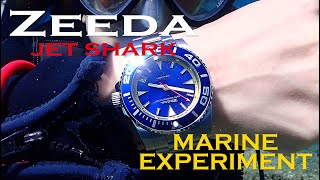 ZEEDA MARINE EXPERIMENT　腕時計防水性能検証実験