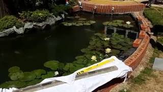 New Pond Build & Final Part 5.