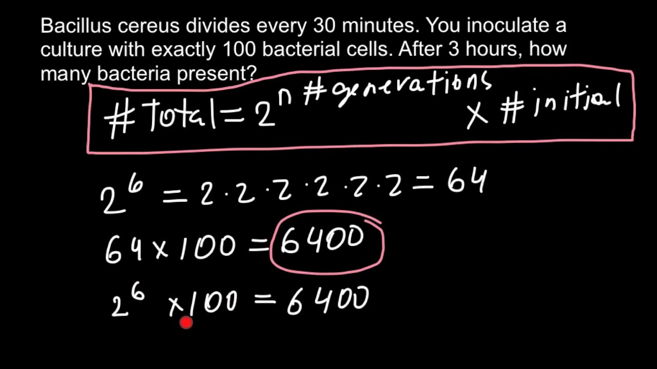 Exponential Growth Bacteria