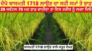 Basmati 1718 variety | ਦੇਖੋ ਬਾਸਮਤੀ 1718 ਨੂੰ ਕਦੋ ਲਗਾਈਏ ਤਾ ਕਿ ਬੰਪਰ ਝਾੜ ਆਵੇ