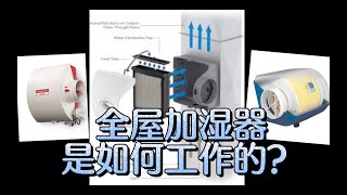 全屋加湿器是如何工作的?| 中央加湿器的工作原理