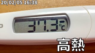 無職ボディビルダーの40℃高熱ルーティン 20/02/04~02/06