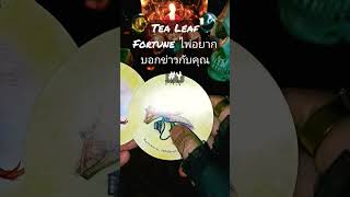 Tea Leaf Fortune ไพ่อยากบอกข่าวกับคุณ #4 #tarot #shortvideo #ดูดวง