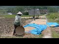 ditengah sawah ada makam wali keramat desa suwidak kec. wanayasa banjarnegara jawa tengah