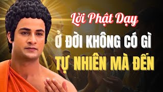 Không Gì Tự Nhiên Mà Có – Lời Phật Dạy Về Nhân Quả Khiến Bạn Tỉnh Ngộ!