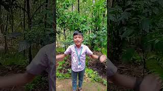 പഠിക്കുന്ന വലിയേതോ സ്ഥലത്താ😄#shortvideo#like#shaer#subscribe#mychenel 🙏🙏