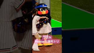 つばみ　Passionと場所トリ！ #swallows #つばみ #すわほー #passion