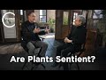 Daniel Chamovitz - Are Plants Sentient?