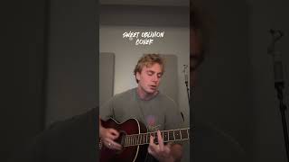 david kushner - sweet oblivion (brundage cover)