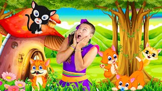 Baby Cat Dance Music |  Animal Songs | Kids Songs | Mileninha (Paródia do Baby Shark)